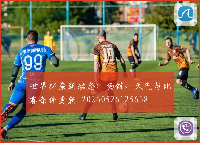 世界杯最新动态：场馆、天气与比赛条件更新_20260526125638