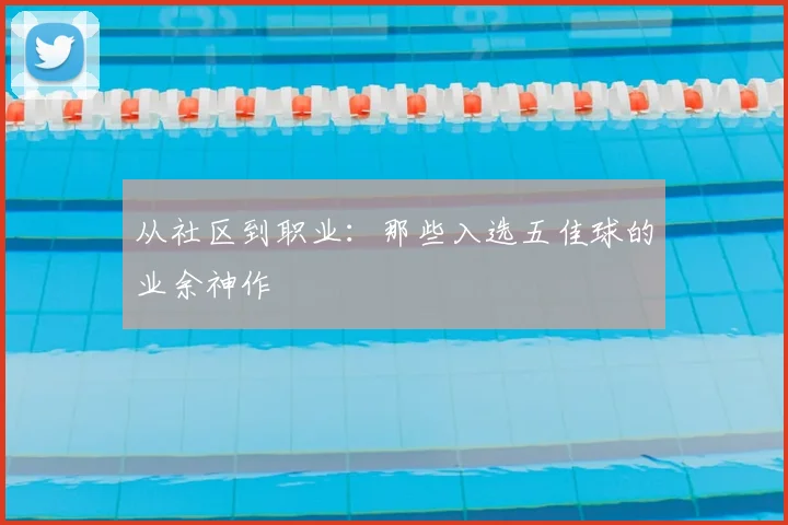 从社区到职业:那些入选五佳球的业余神作
