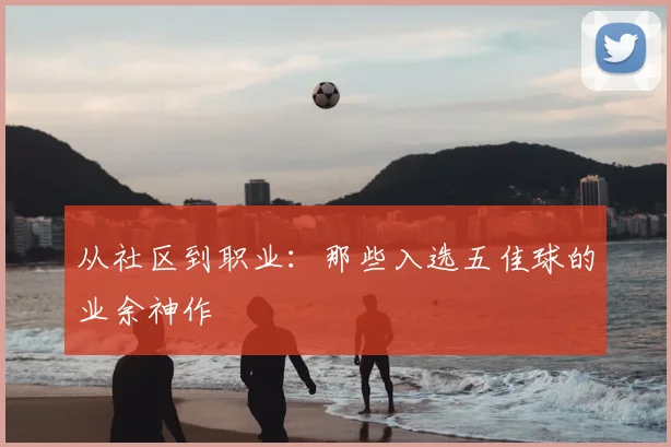 从社区到职业：那些入选五佳球的业余神作