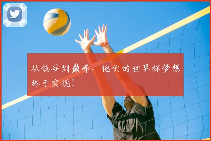 从低谷到巅峰,他们的世界杯梦想终于实现!