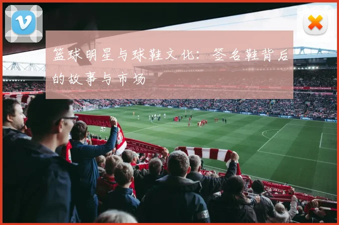 篮球明星与球鞋文化:签名鞋背后的故事与市场