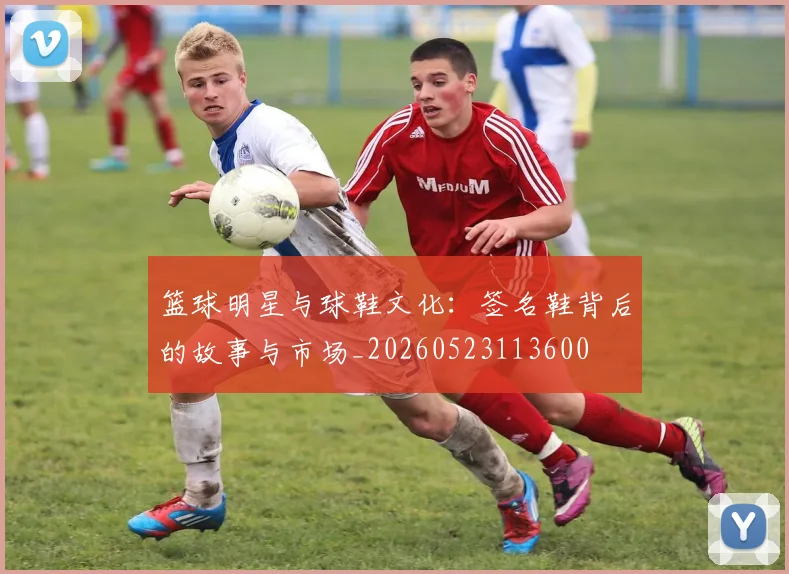 篮球明星与球鞋文化：签名鞋背后的故事与市场_20260523113600