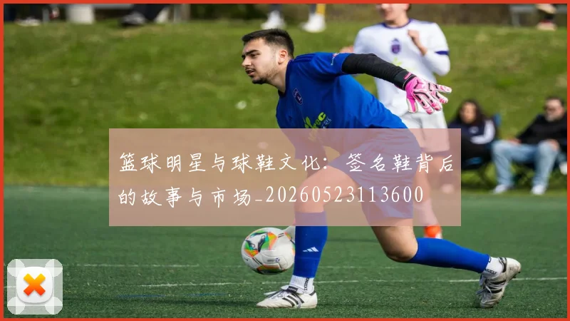 篮球明星与球鞋文化:签名鞋背后的故事与市场_20260523113600